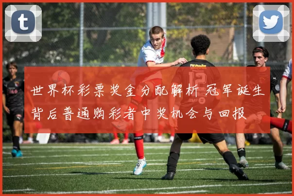 世界杯彩票奖金分配解析 冠军诞生背后普通购彩者中奖机会与回报
