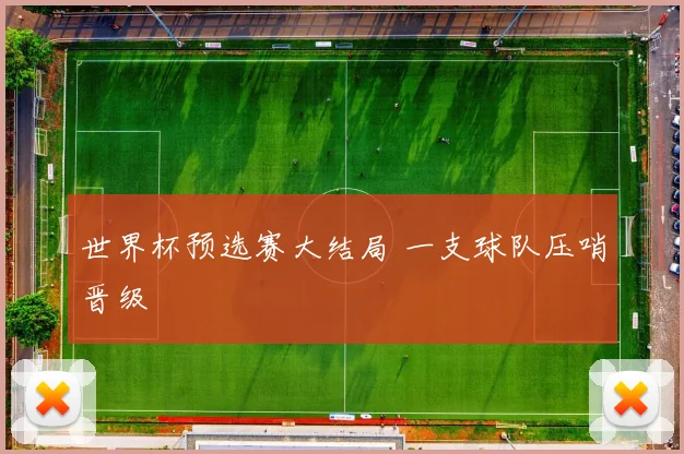 世界杯预选赛大结局 一支球队压哨晋级